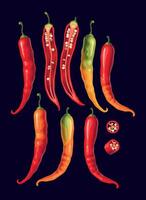 Chili peppers set isolated on white background vector