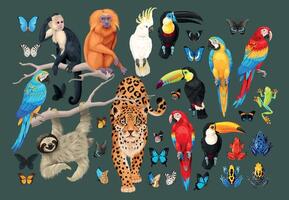 grande vector conjunto de tropical animales y aves