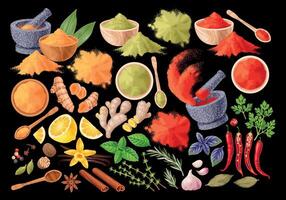 Big vector set of high detailed spices