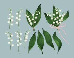 Set with lily of the valley flowers and herbs vector