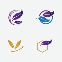 collection of feather logo illustration designs on a gray background vector