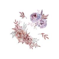 Watercolor set of bouquets dark roses, flowers vector