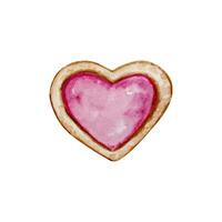 Watercolor heart cookie with pink glaze vector