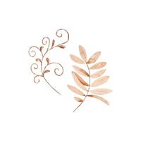 Watercolor set beige tender branch with leaves, autumn floral vector