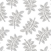 Seamless pattern with rowan leaf in line art style. Abstract leaf texture for wallpaper, pattern fills, web page background. Vector illustration on a white background.