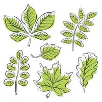 Leaf set in line art style. Minimalist simple plant design of tree leaves. Nature logo hand drawn design. Vector illustration isolated on a white background.