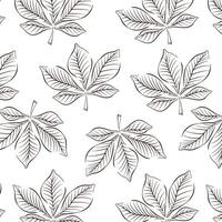 Chestnut autumn, spring themes design with line art leaf seamless pattern. Vector illustration on a white background.