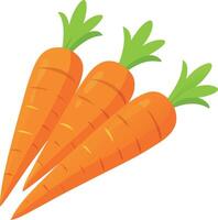 Healthy orange carrots graphic illustration vector