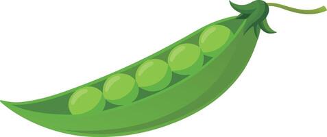 Green pea. Green peas pods isolated on white background, vector flat style