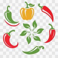 a set of green, red and yellow chili vector. different color ripe chili vector