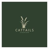 cattails or river reed grass plant logo design, aquatic plants, swamp, wild grass vector