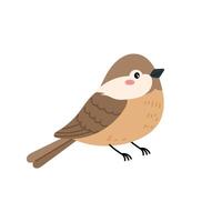 Sparrow in flat style on a white background. Spring cute bird for your design. vector