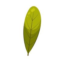 Leaf in flat style on a white background. Green leaf. vector