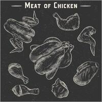 Fresh chicken meat. Top view. Isolated on a white vintage vector isolated sketch hand drown chalk drawing on the blackboard,