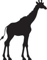 Giraffee Silhouette Vector Illustration White Background