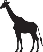 Giraffee Silhouette Vector Illustration White Background