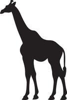 giraffee silueta vector ilustración blanco antecedentes