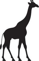 giraffee silueta vector ilustración blanco antecedentes