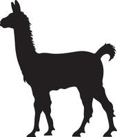 Llama Silhouette Vector Illustration White Background