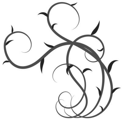 Abstract leaves and lines elegant elements Vintage black line guidelines for decorating cards.