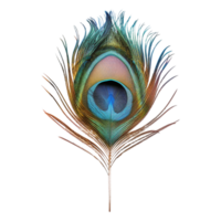 AI generated Peacock Bird Feather on Transparent background - Ai Generated png