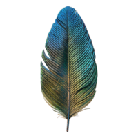 AI generated Peacock Bird Feather on Transparent background - Ai Generated png