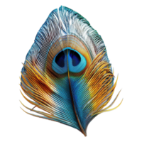 AI generated Peacock Bird Feather on Transparent background - Ai Generated png