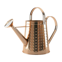 AI generated 3D Rendering of a Watering Flax Can on Transparent Background - Ai Generated png