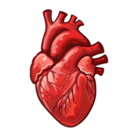 AI generated Sticker of a Human Heart On a Transparent Background - Ai Generated png