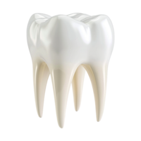 ai genererad 3d tolkning av en dental mänsklig tänder på transparent bakgrund - ai genererad png