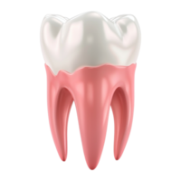 ai generado 3d representación de un dental humano dientes en transparente antecedentes - ai generado png