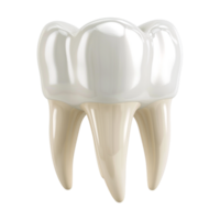 ai generado 3d representación de un dental humano dientes en transparente antecedentes - ai generado png