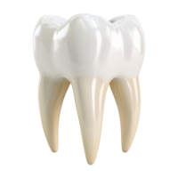 ai generado 3d representación de un dental humano dientes en transparente antecedentes - ai generado png