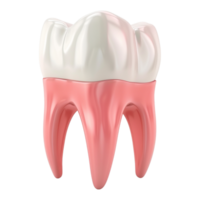 ai generado 3d representación de un dental humano dientes en transparente antecedentes - ai generado png