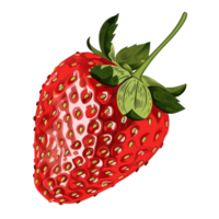 ai generiert Aufkleber von ein Erdbeere auf ein transparent Hintergrund - - ai generiert png