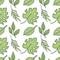 Tropical leaves seamless pattern. Hand drawn doodles isolated on white background. Colored vector design in cartoon style for fabric, scrapbooking or packaging.