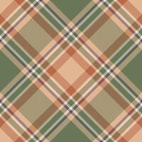 Plaid pattern vector. Check fabric texture. Seamless textile design for clothes, paper print. vector