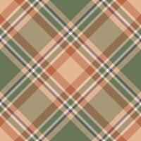 Plaid pattern vector. Check fabric texture. Seamless textile design for clothes, paper print. vector