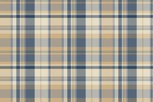 Industrial vector plaid check, frame pattern textile seamless. Masculine tartan fabric background texture in light and pastel colors.