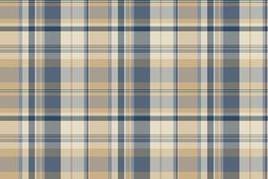 Industrial vector plaid check, frame pattern textile seamless. Masculine tartan fabric background texture in light and pastel colors.