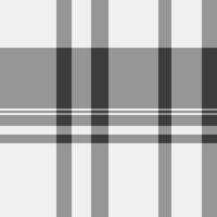 Youth texture textile background, valentines day fabric seamless pattern. Mexico check plaid tartan vector in vintage gray and white colors.