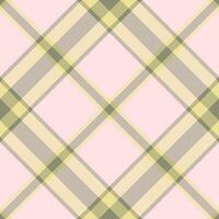Plaid pattern vector. Check fabric texture. Seamless textile design for clothes, paper print. vector