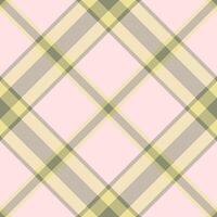 Plaid pattern vector. Check fabric texture. Seamless textile design for clothes, paper print. vector