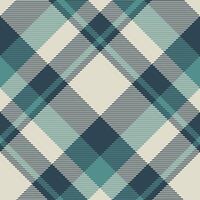 Plaid pattern vector. Check fabric texture. Seamless textile design for clothes, paper print. vector