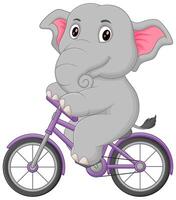 Cute Elephant Riding Bicycle Cartoon Vector Icon Illustration. Animal Sport Icon Concept Isolated Premium Vector