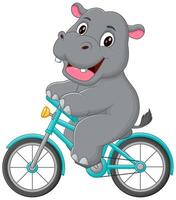 Cute Hippopotamus Riding Bicycle Cartoon Vector Icon Illustration. Animal Sport Icon Concept Isolated Premium Vector