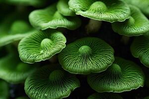 AI generated Vibrant Green pattern mushrooms. Generate Ai photo