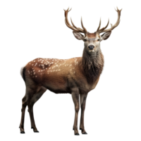 AI generated 3D Rendering of a Jungle Deer on Transparent Background - Ai Generated png