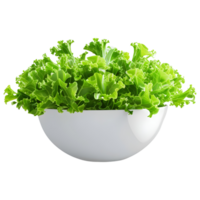 AI generated 3D Rendering of a Mix Salad in a Bowl on Transparent Background - Ai Generated png