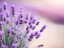 AI generated Purple lavender bouquet. Horizontal image with herbal for spa or medicine. photo